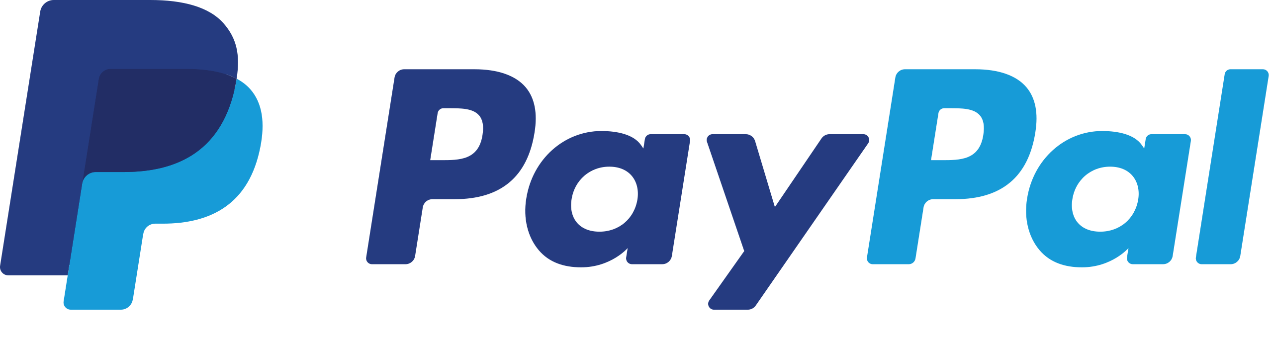 PayPal Icon