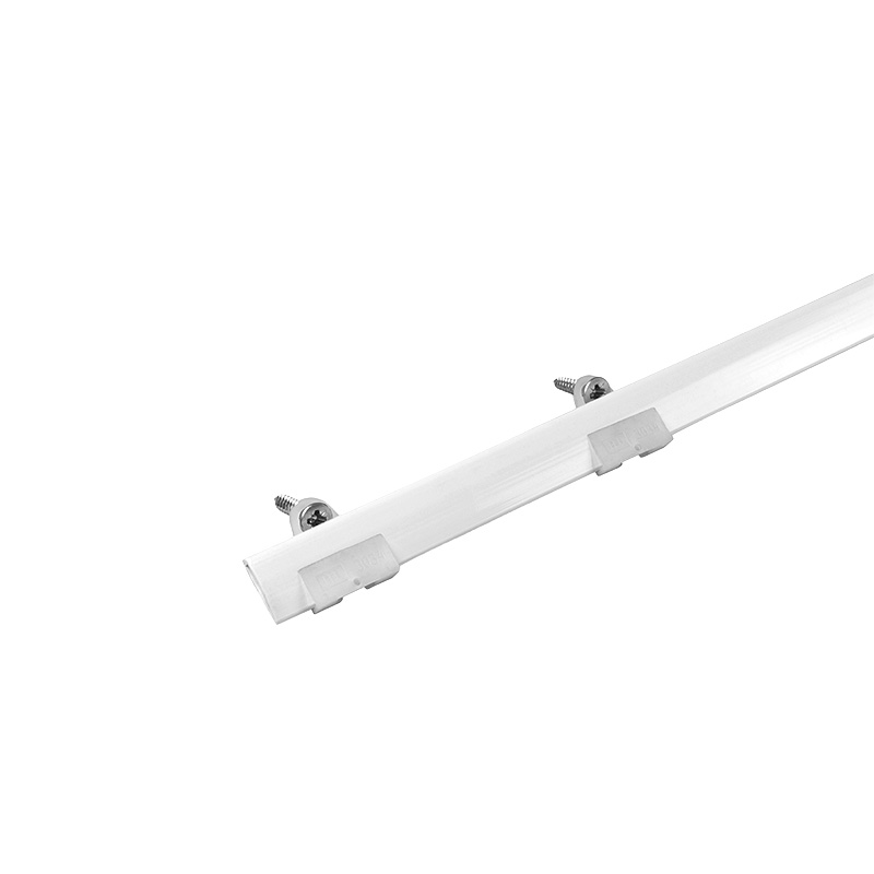 Poster holder with hooks