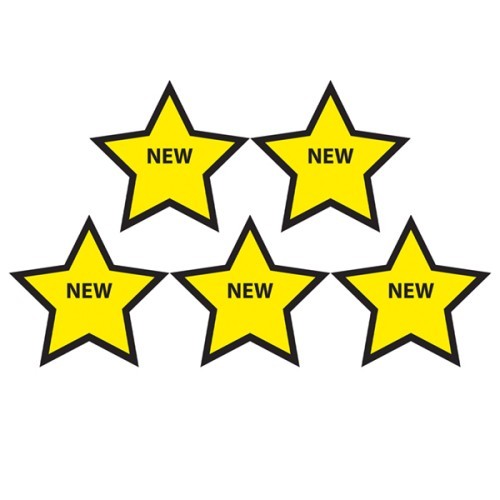 Magnetic Stars